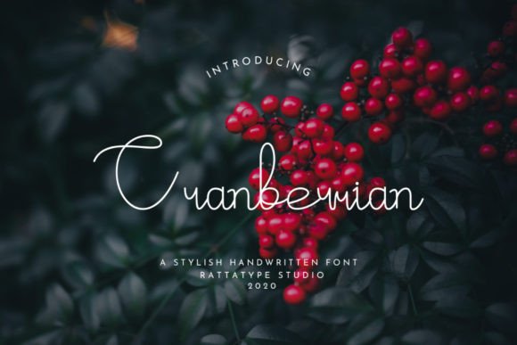 Elevating Handmade Products with the Cranberrian Typeface
