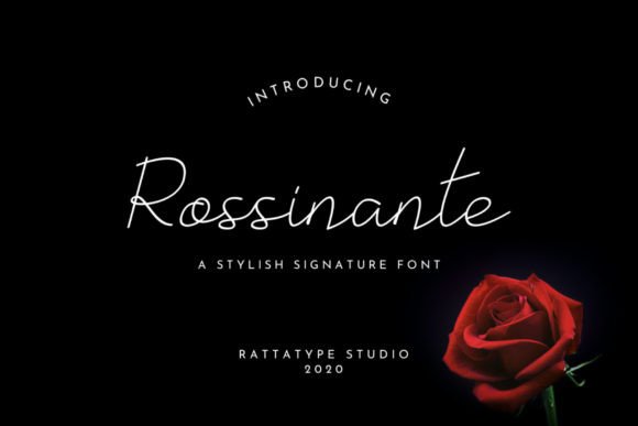 Rossinante Typeface: A Web Designer’s Review of Elegance in Digital Design